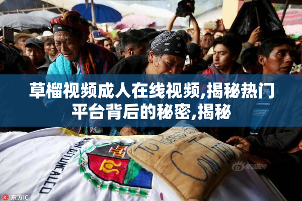 草榴视频成人在线视频,揭秘热门平台背后的秘密,揭秘