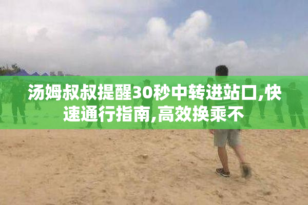 汤姆叔叔提醒30秒中转进站口,快速通行指南,高效换乘不