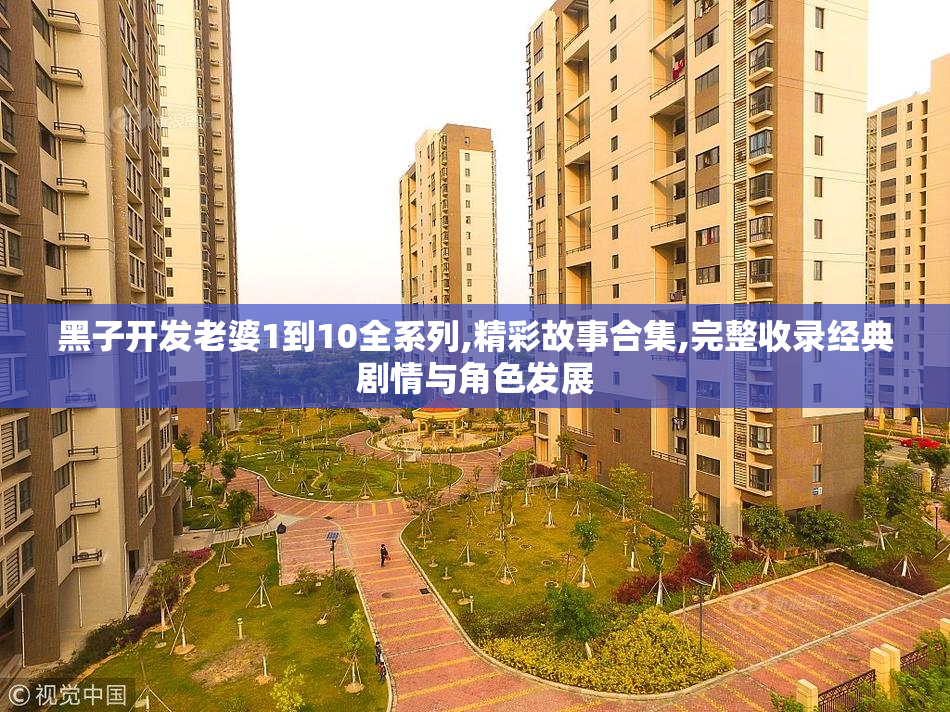 黑子开发老婆1到10全系列,精彩故事合集,完整收录经典剧情与角色发展