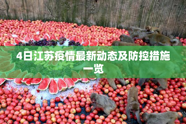 4日江苏疫情最新动态及防控措施一览