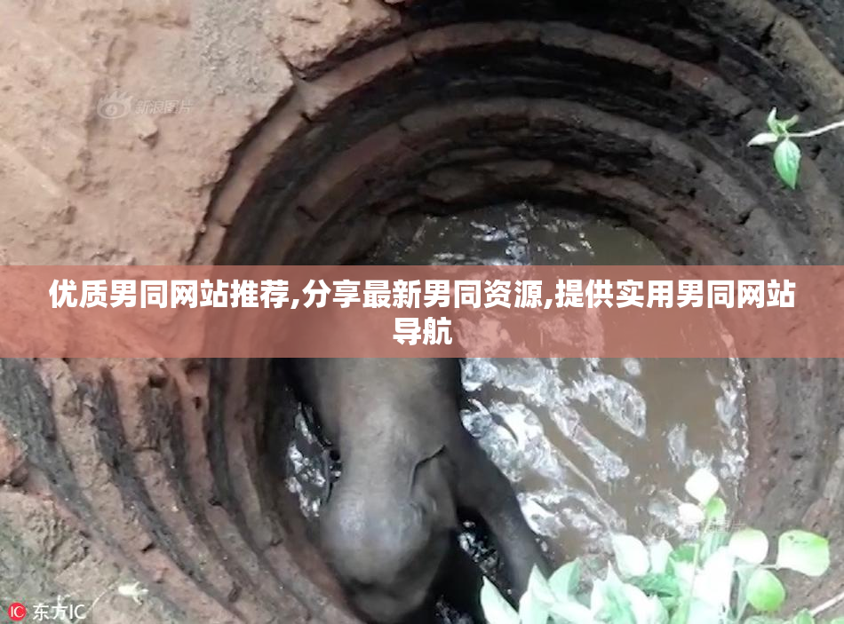 优质男同网站推荐,分享最新男同资源,提供实用男同网站导航