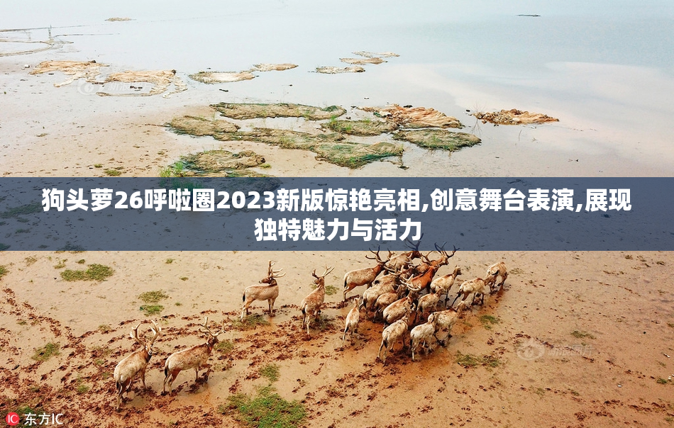 狗头萝26呼啦圈2023新版惊艳亮相,创意舞台表演,展现独特魅力与活力