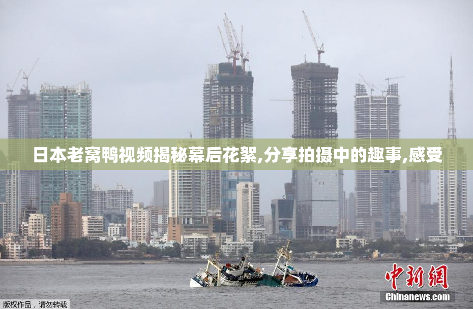 日本老窝鸭视频揭秘幕后花絮,分享拍摄中的趣事,感受