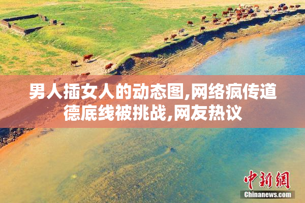 男人插女人的动态图,网络疯传道德底线被挑战,网友热议
