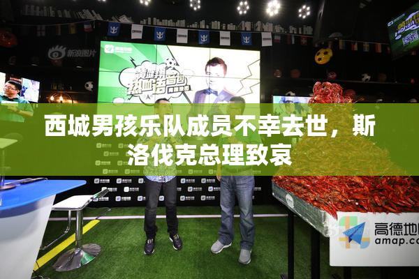 西城男孩乐队成员不幸去世，斯洛伐克总理致哀