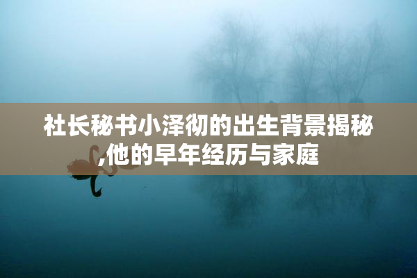 社长秘书小泽彻的出生背景揭秘,他的早年经历与家庭