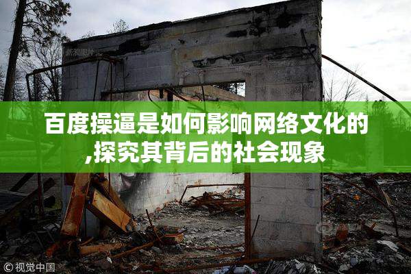 百度操逼是如何影响网络文化的,探究其背后的社会现象