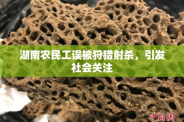 湖南农民工误被狩猎射杀，引发社会关注