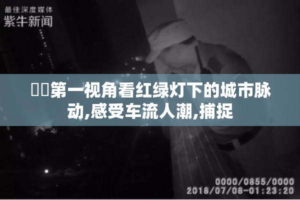 芃芃第一视角看红绿灯下的城市脉动,感受车流人潮,捕捉