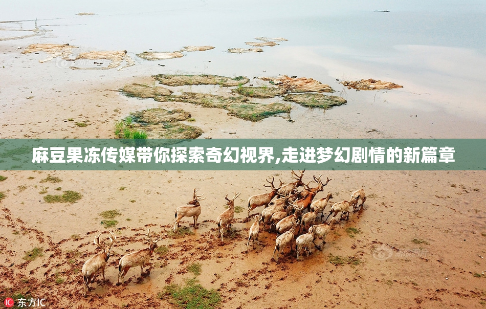 麻豆果冻传媒带你探索奇幻视界,走进梦幻剧情的新篇章