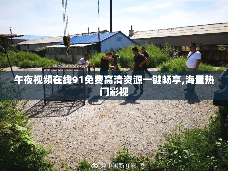 午夜视频在线91免费高清资源一键畅享,海量热门影视
