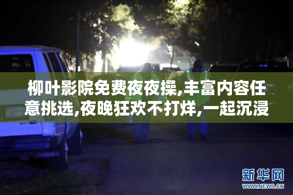 柳叶影院免费夜夜操,丰富内容任意挑选,夜晚狂欢不打烊,一起沉浸