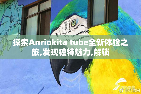 探索Anriokita tube全新体验之旅,发现独特魅力,解锁