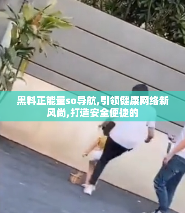 黑料正能量so导航,引领健康网络新风尚,打造安全便捷的