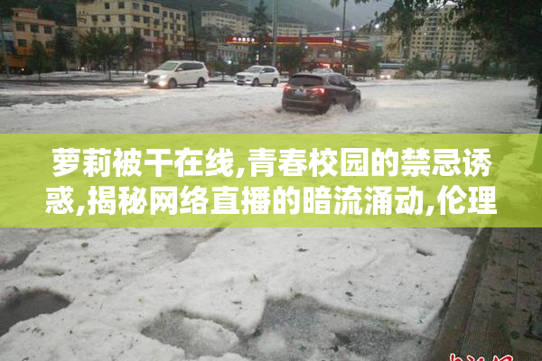 萝莉被干在线,青春校园的禁忌诱惑,揭秘网络直播的暗流涌动,伦理