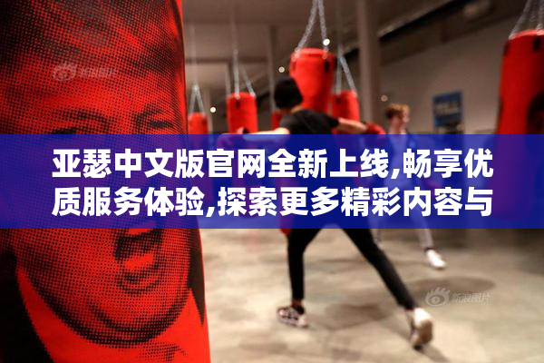 亚瑟中文版官网全新上线,畅享优质服务体验,探索更多精彩内容与