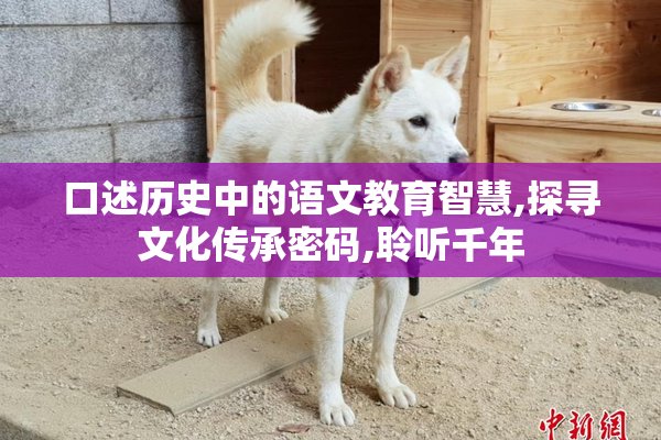 口述历史中的语文教育智慧,探寻文化传承密码,聆听千年