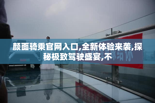 颜面骑乘官网入口,全新体验来袭,探秘极致驾驶盛宴,不