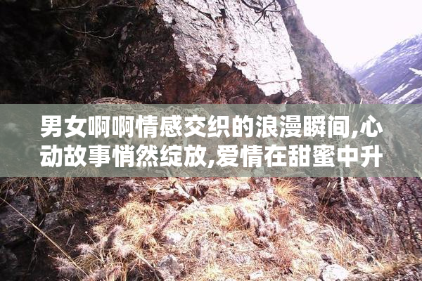 男女啊啊情感交织的浪漫瞬间,心动故事悄然绽放,爱情在甜蜜中升温