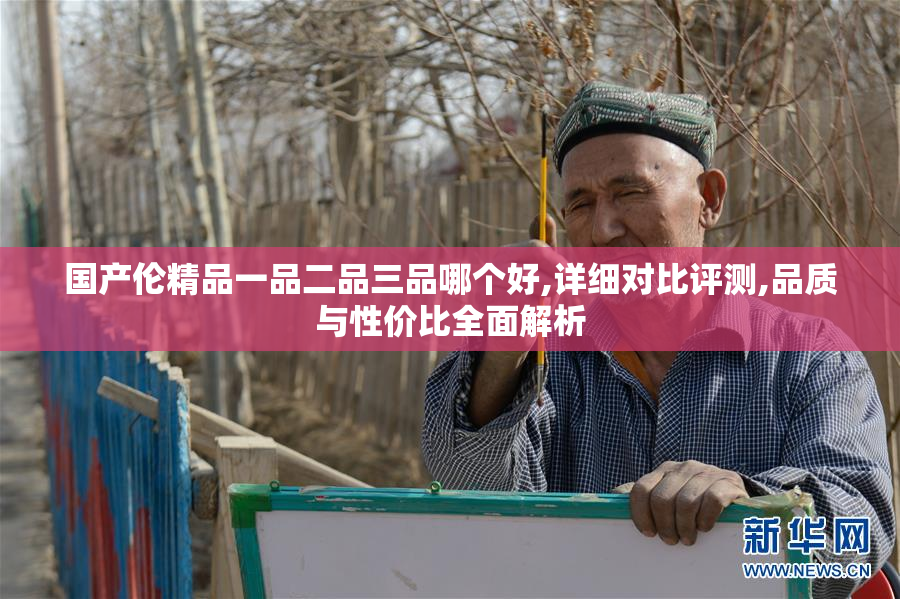 国产伦精品一品二品三品哪个好,详细对比评测,品质与性价比全面解析