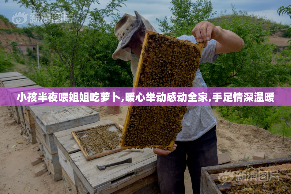 小孩半夜喂姐姐吃萝卜,暖心举动感动全家,手足情深温暖