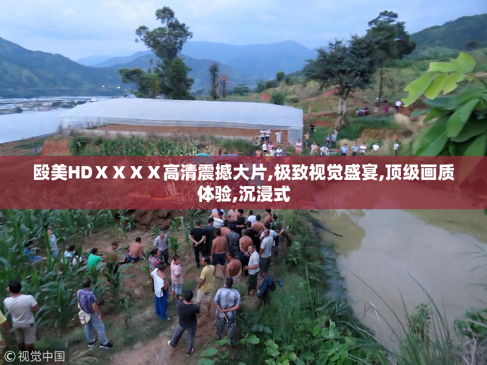 殴美HDⅩⅩⅩⅩ高清震撼大片,极致视觉盛宴,顶级画质体验,沉浸式