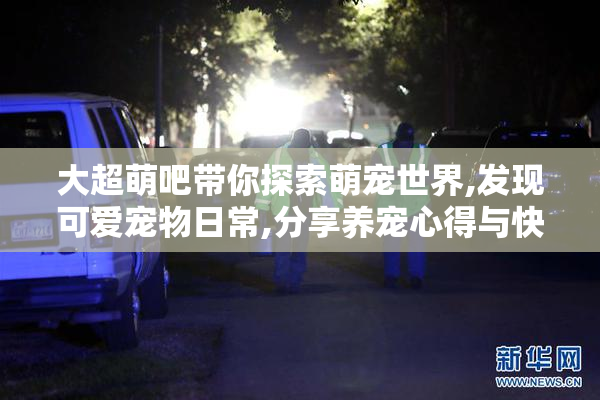 大超萌吧带你探索萌宠世界,发现可爱宠物日常,分享养宠心得与快乐