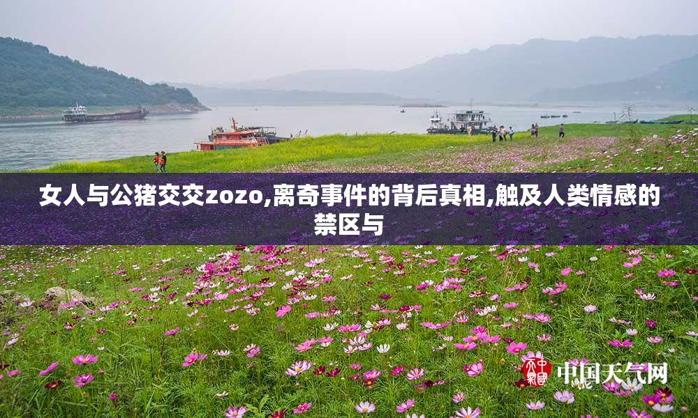 女人与公猪交交zozo,离奇事件的背后真相,触及人类情感的禁区与