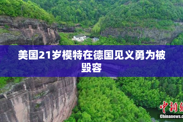 美国21岁模特在德国见义勇为被毁容