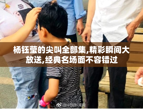 杨钰莹的尖叫全部集,精彩瞬间大放送,经典名场面不容错过