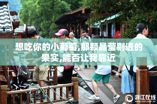 想吃你的小葡萄,那颗晶莹剔透的果实,能否让我靠近