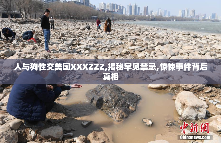 人与狗性交美国XXXZZZ,揭秘罕见禁忌,惊悚事件背后真相