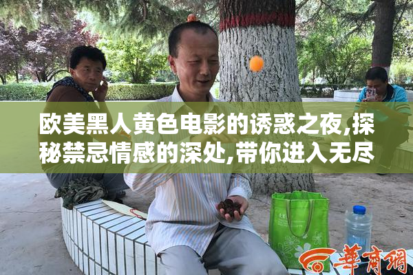 欧美黑人黄色电影的诱惑之夜,探秘禁忌情感的深处,带你进入无尽的
