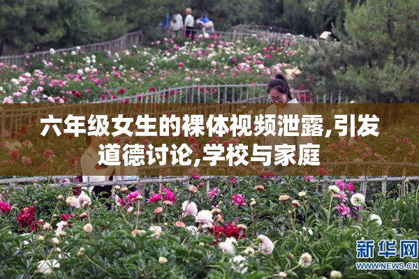 六年级女生的裸体视频泄露,引发道德讨论,学校与家庭