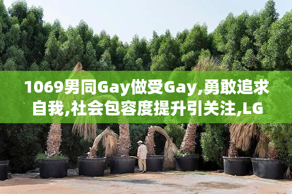 1069男同Gay做受Gay,勇敢追求自我,社会包容度提升引关注,LGBTQ+