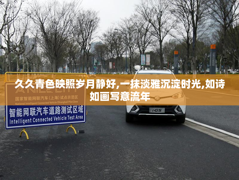 久久青色映照岁月静好,一抹淡雅沉淀时光,如诗如画写意流年
