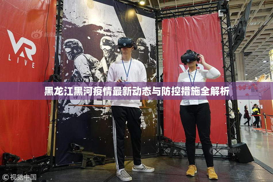 黑龙江黑河疫情最新动态与防控措施全解析