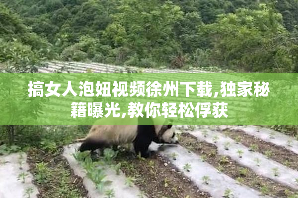 搞女人泡妞视频徐州下载,独家秘籍曝光,教你轻松俘获