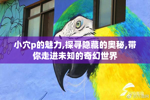 小穴p的魅力,探寻隐藏的奥秘,带你走进未知的奇幻世界