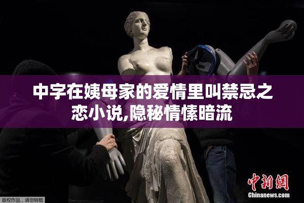 中字在姨母家的爱情里叫禁忌之恋小说,隐秘情愫暗流