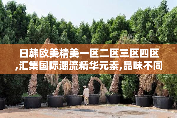 日韩欧美精美一区二区三区四区,汇集国际潮流精华元素,品味不同