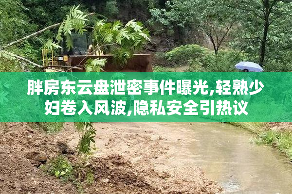 胖房东云盘泄密事件曝光,轻熟少妇卷入风波,隐私安全引热议