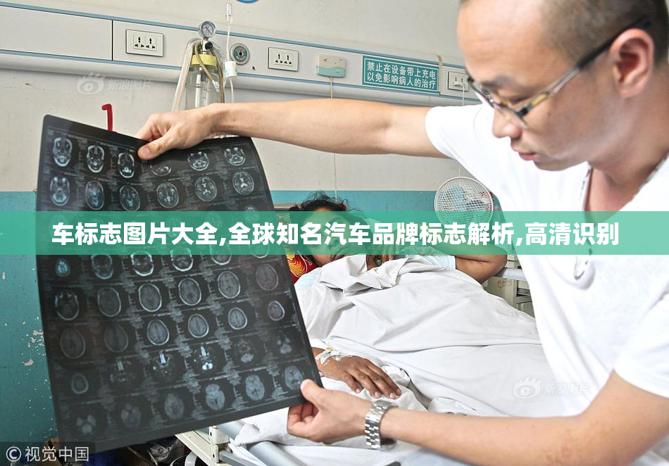车标志图片大全,全球知名汽车品牌标志解析,高清识别