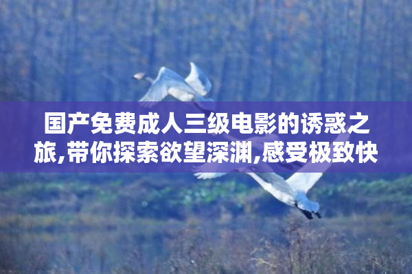 国产免费成人三级电影的诱惑之旅,带你探索欲望深渊,感受极致快感