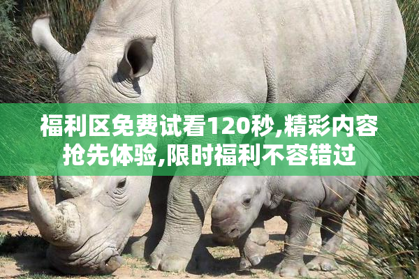 福利区免费试看120秒,精彩内容抢先体验,限时福利不容错过