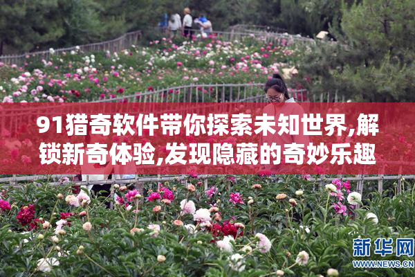 91猎奇软件带你探索未知世界,解锁新奇体验,发现隐藏的奇妙乐趣