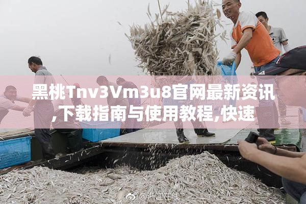 黑桃Tnv3Vm3u8官网最新资讯,下载指南与使用教程,快速