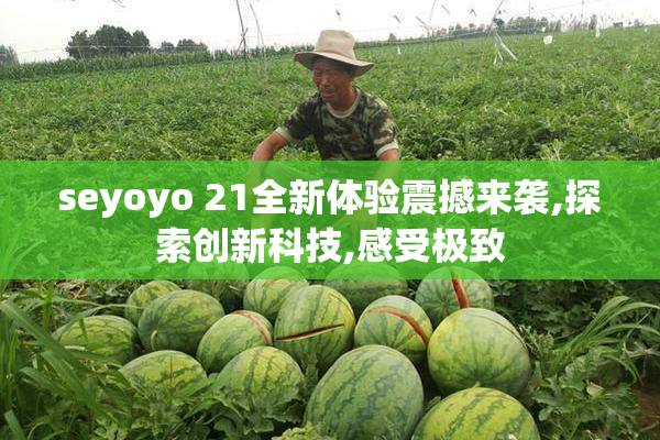 seyoyo 21全新体验震撼来袭,探索创新科技,感受极致