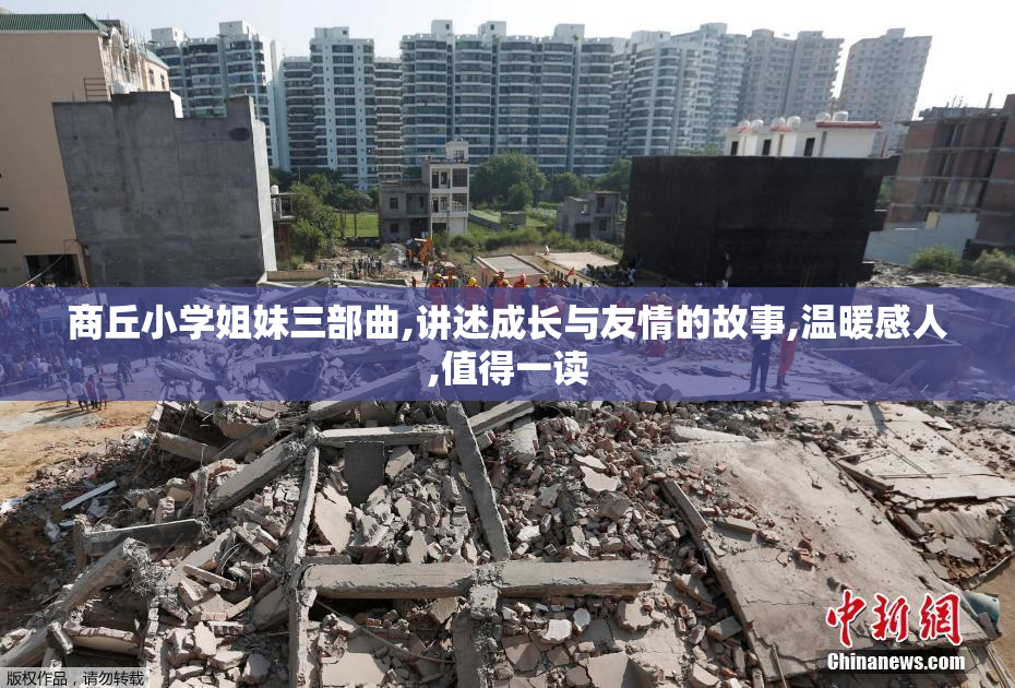 商丘小学姐妹三部曲,讲述成长与友情的故事,温暖感人,值得一读