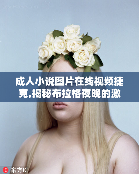 成人小说图片在线视频捷克,揭秘布拉格夜晚的激情故事,沉浸在浪漫